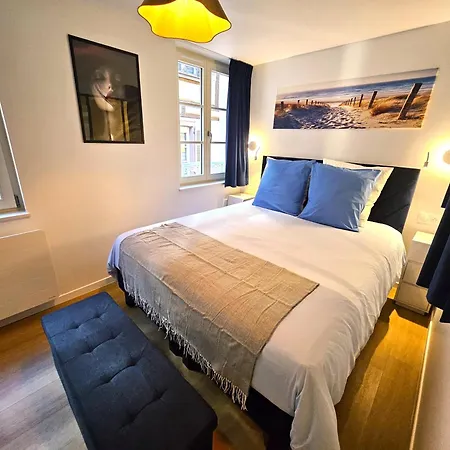 Magnifique T2-chez François Et Kamila - Centre Historique- Parking Privé 50m De L'appartement- Balcon Avec Vue Colmar