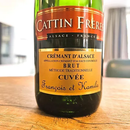 Magnifique T2-chez Francois Et Kamila - Centre Historique- Parking Prive 50m De L'appartement- Balcon Avec Vue * Colmar