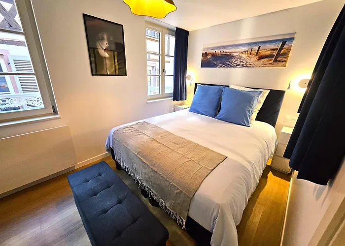 Magnifique T2-chez Francois Et Kamila - Centre Historique- Parking Prive 50m De L'appartement- Balcon Avec Vue 科尔马