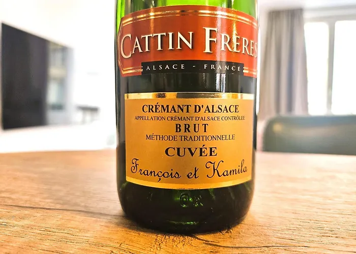 Magnifique T2-chez Francois Et Kamila - Centre Historique- Parking Prive 50m De L'appartement- Balcon Avec Vue * 科尔马