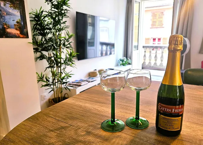 Magnifique T2-chez Francois Et Kamila - Centre Historique- Parking Prive 50m De L'appartement- Balcon Avec Vue 公寓